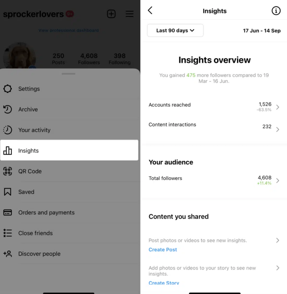 Instagram Insights Overview